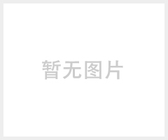 物流分拣线网带输送机